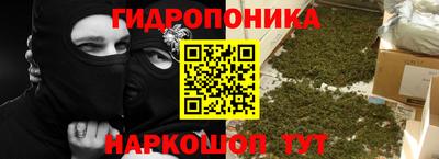 бошки Краснодар