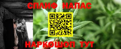 шишки Коммунар