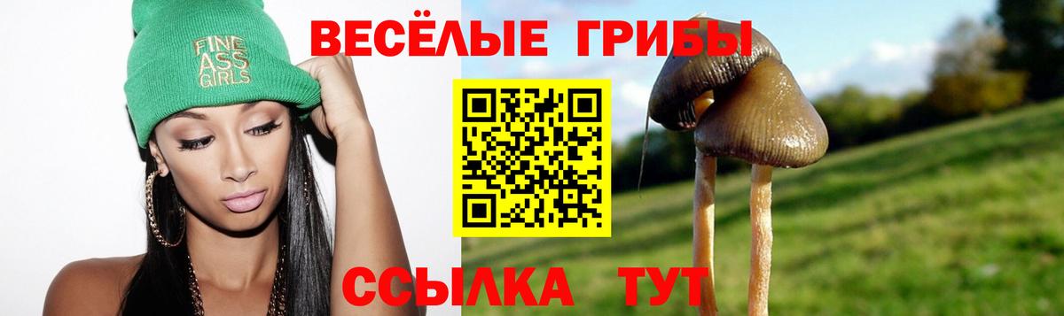 Галлюциногенные грибы мицелий Каспийск